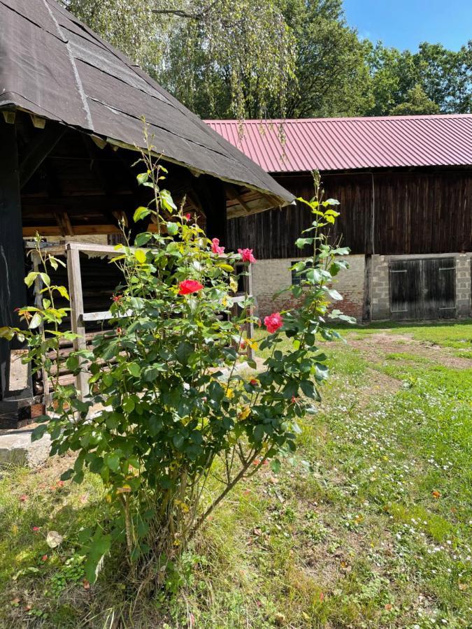 NiddaSchellnhof Forsthaus Am Waldrand公寓 外观 照片